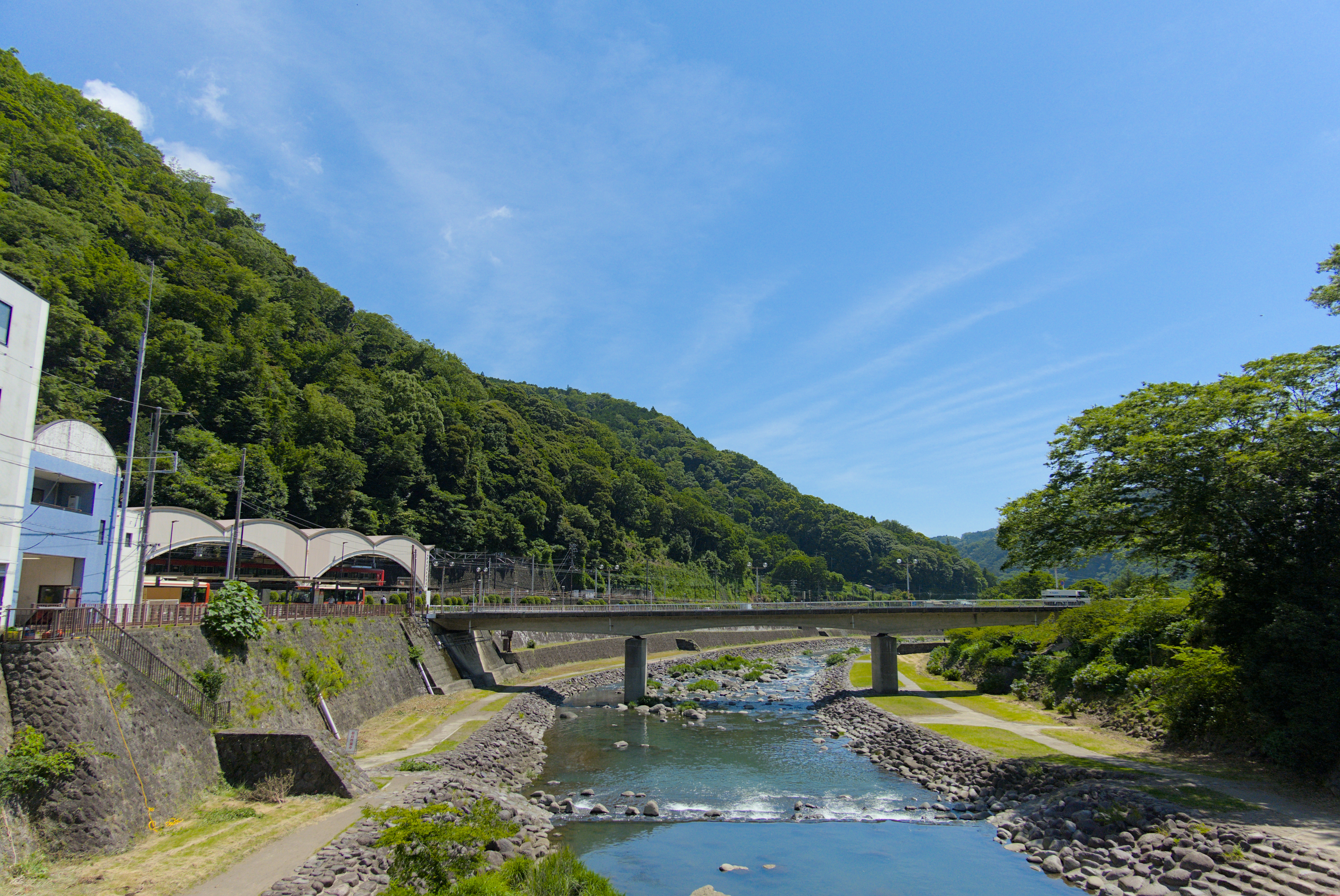 Hayakawa