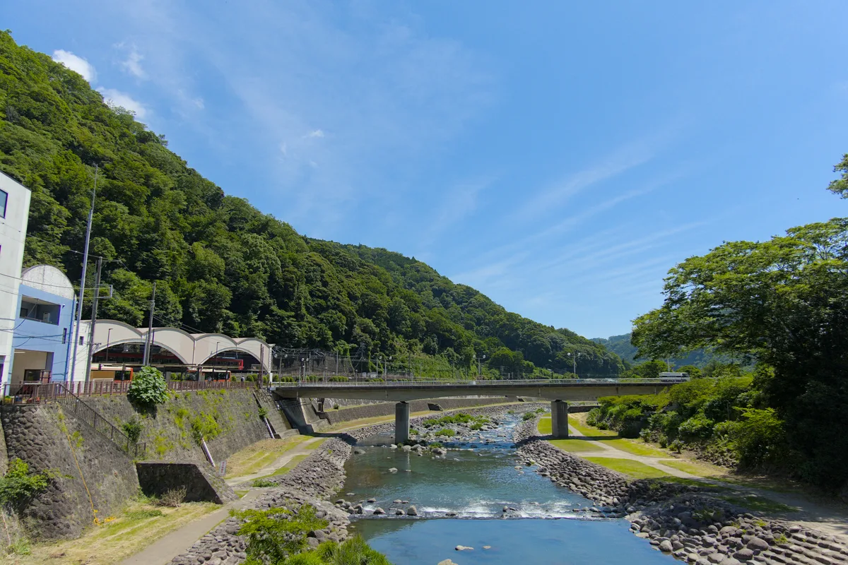 Hayakawa