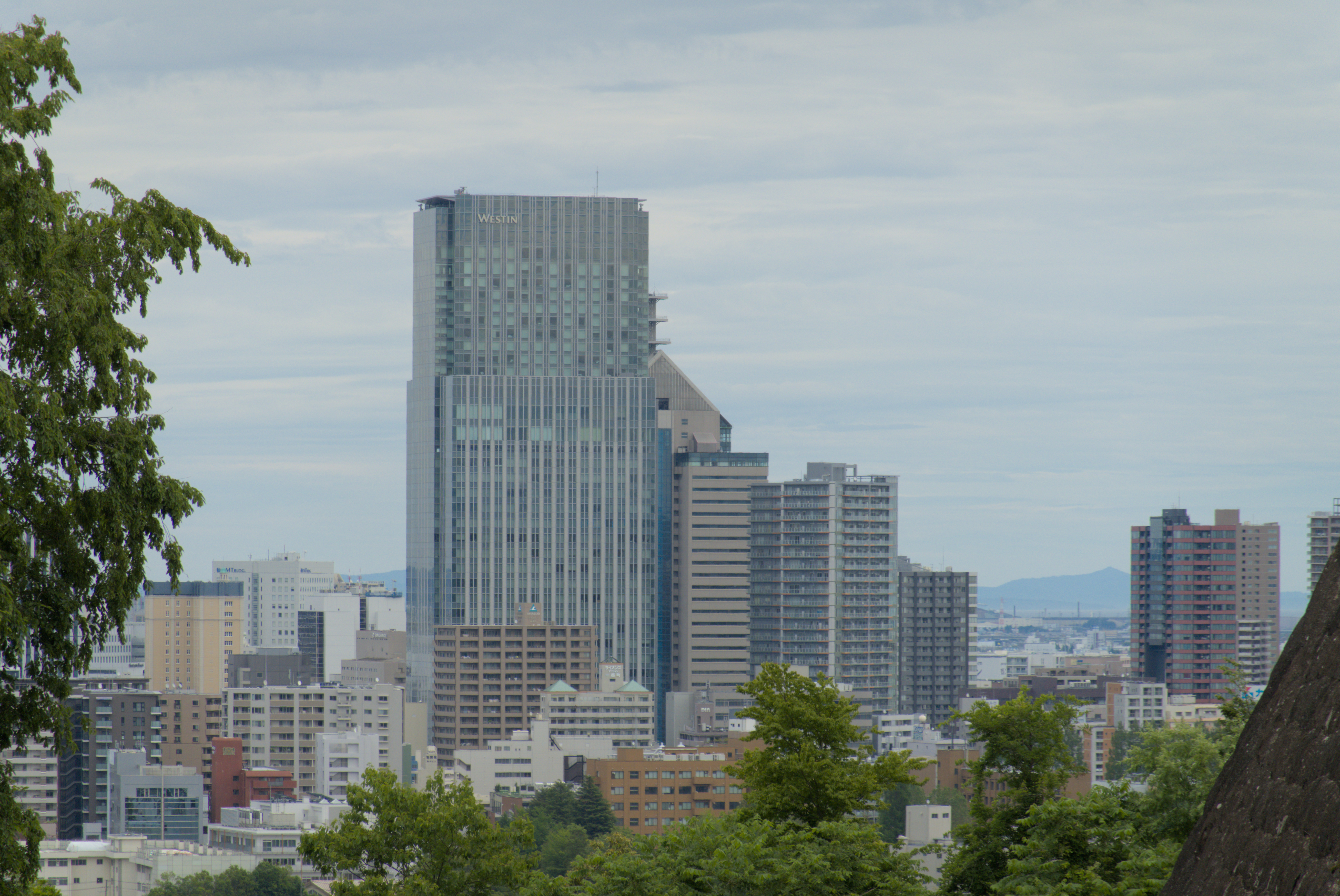 Sendai from Above