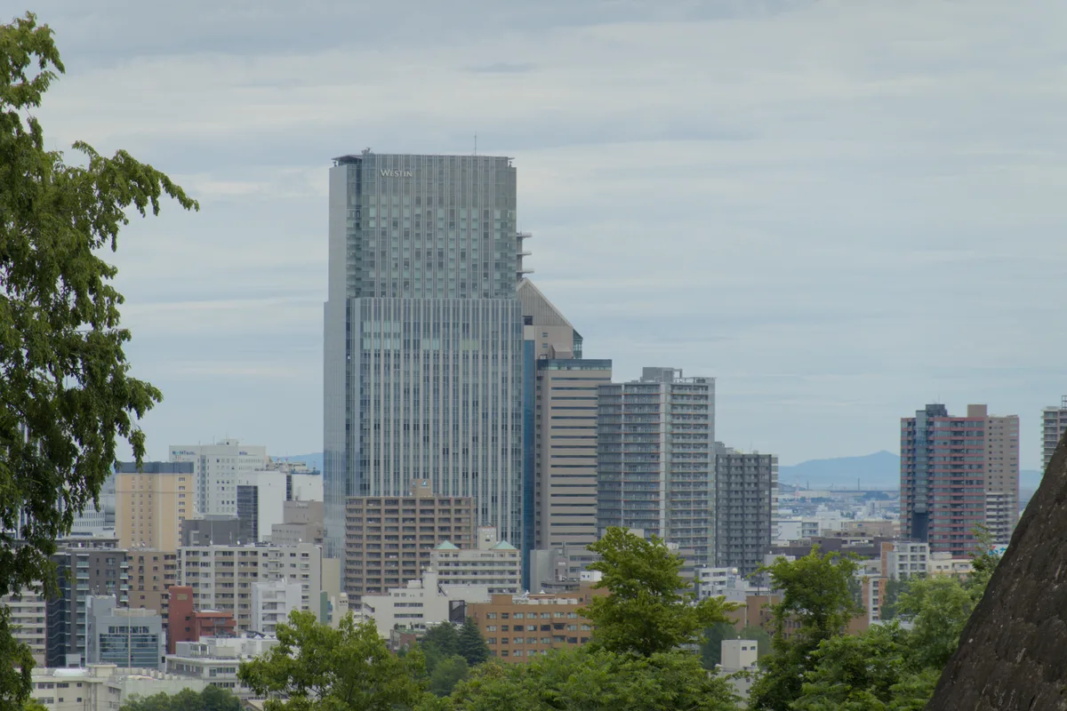 Sendai from Above