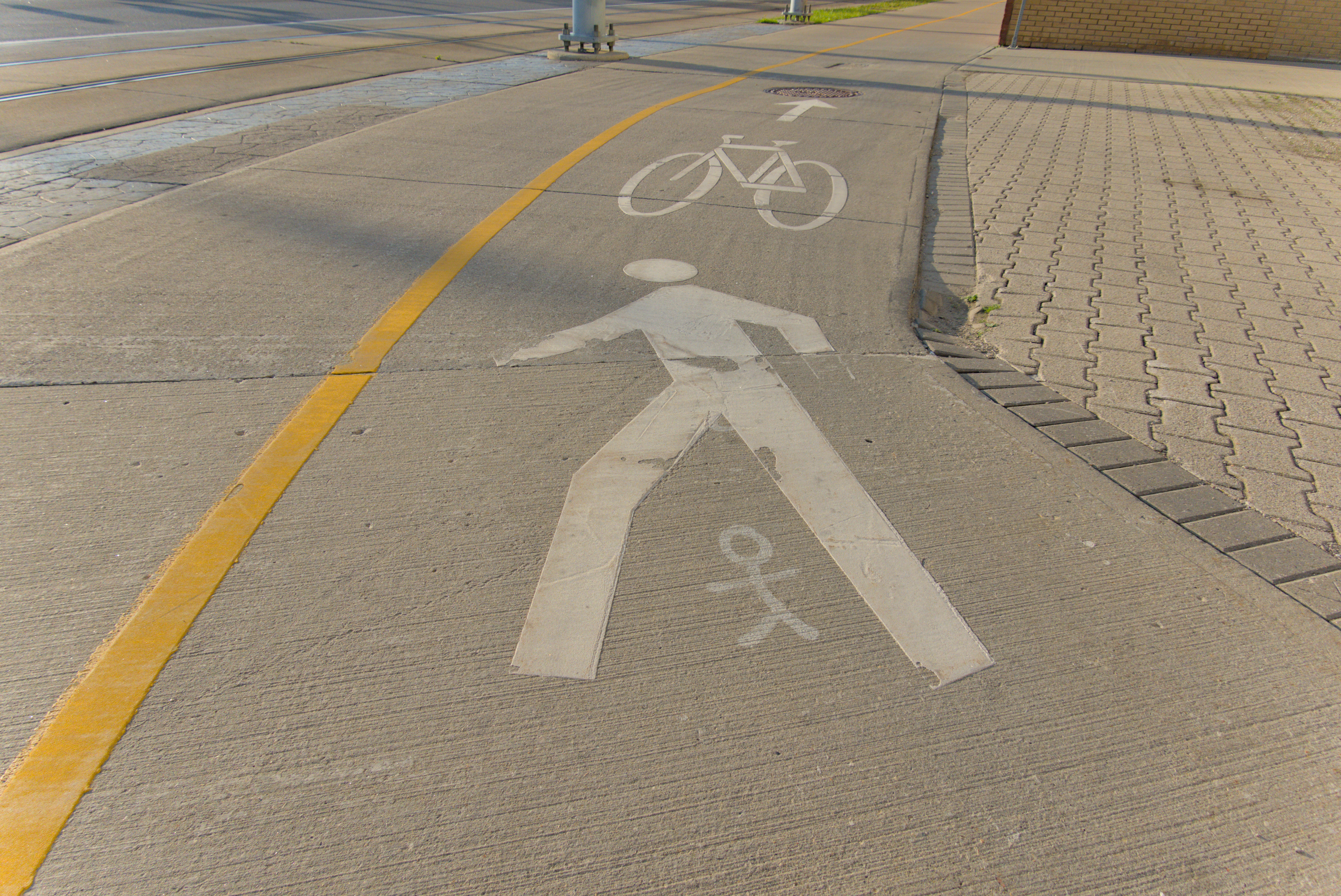 Shared Trail?