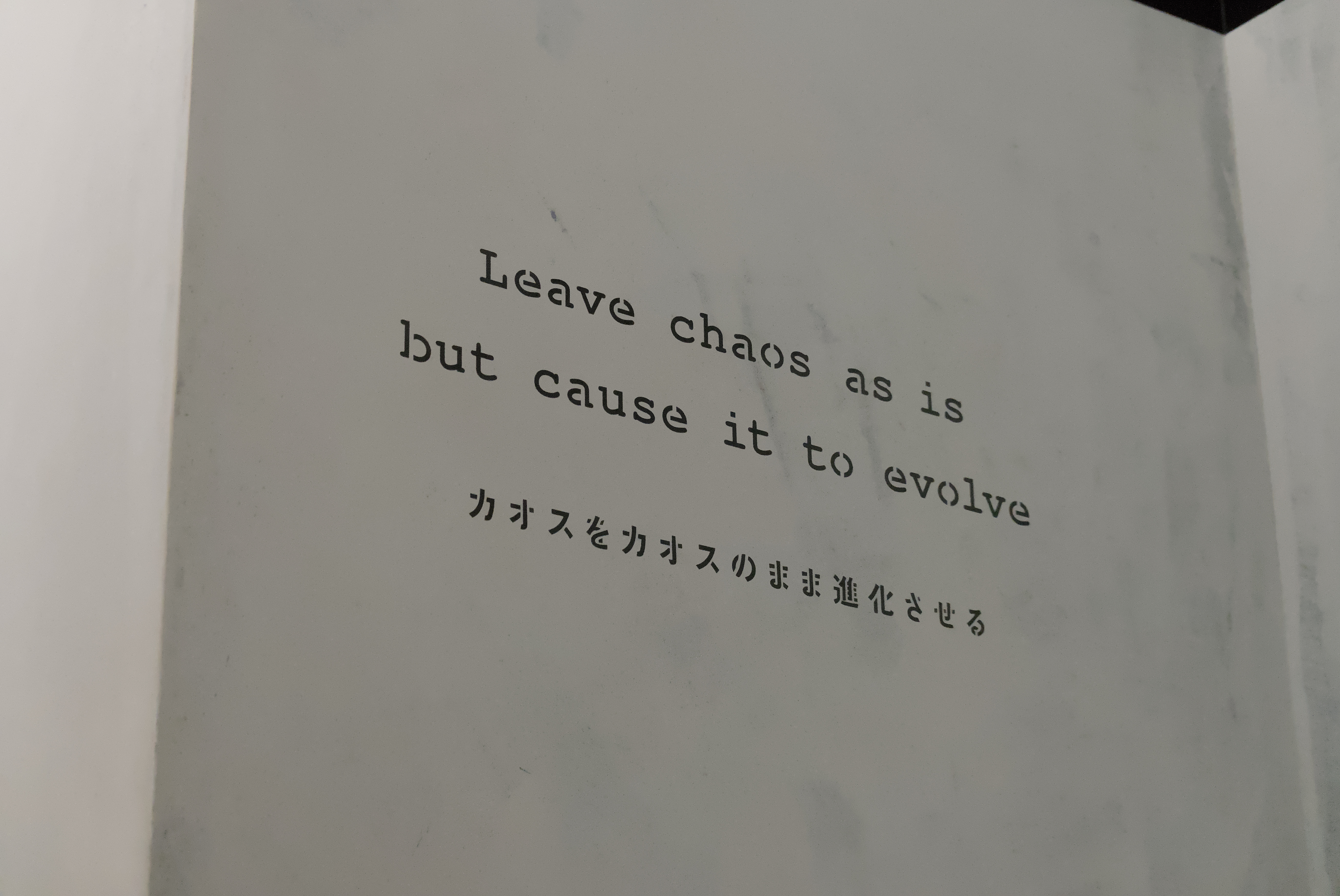 Chaos