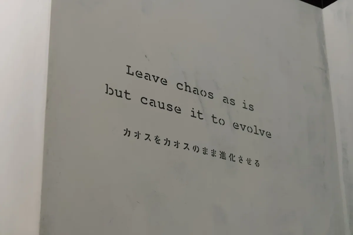 Chaos
