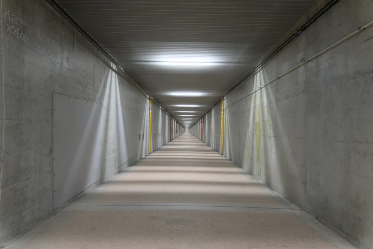 Claustrophobia and Trypophobia