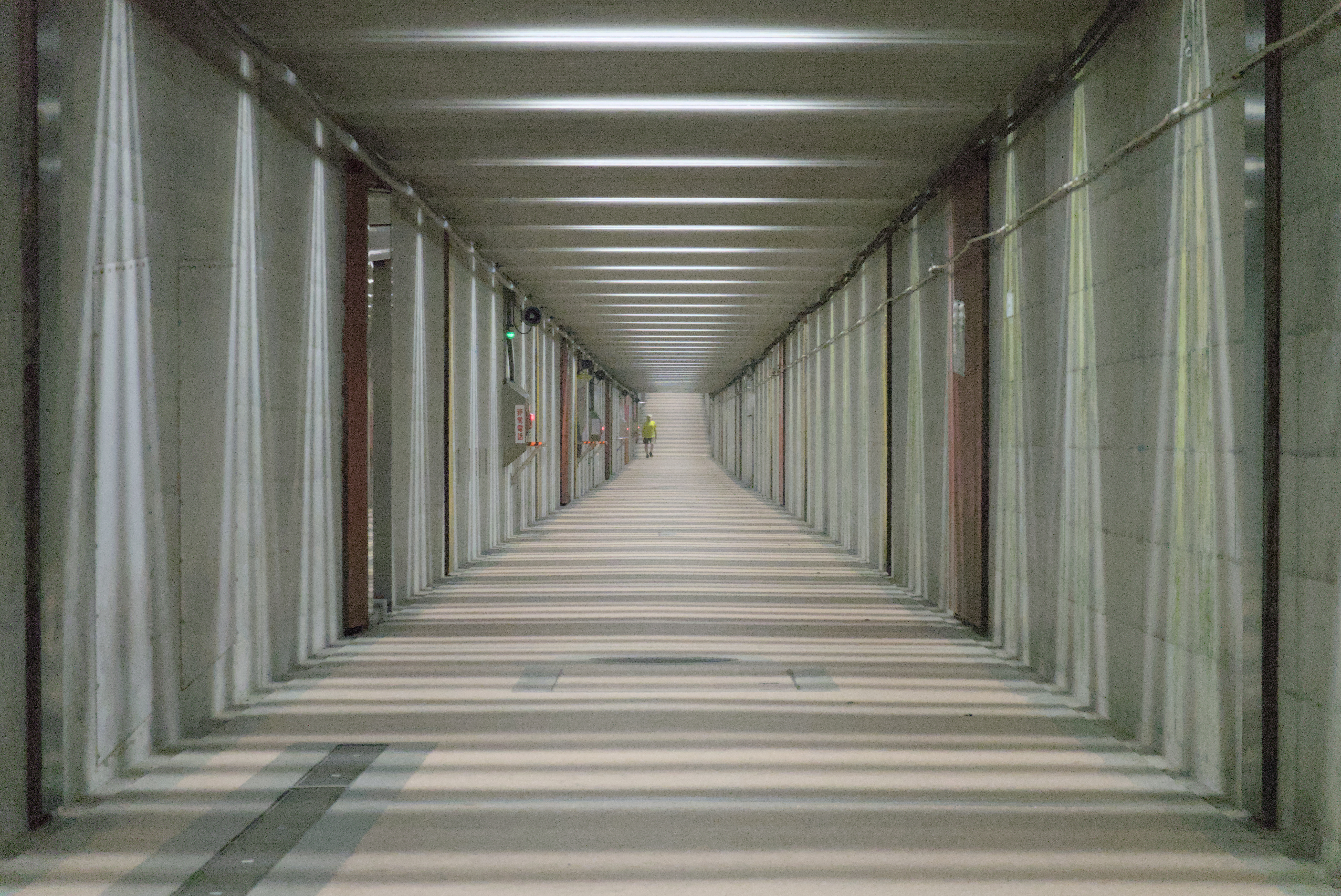 Claustrophobia and Trypophobia