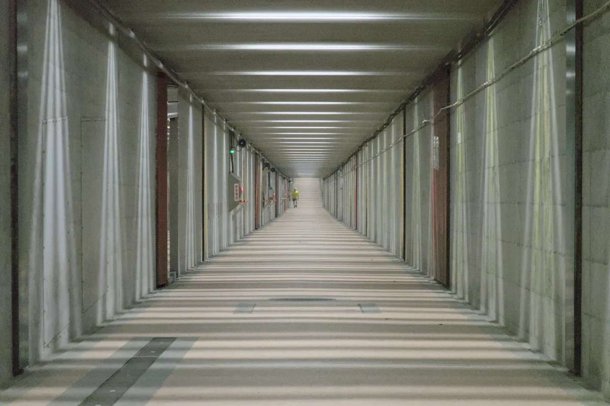 Claustrophobia and Trypophobia