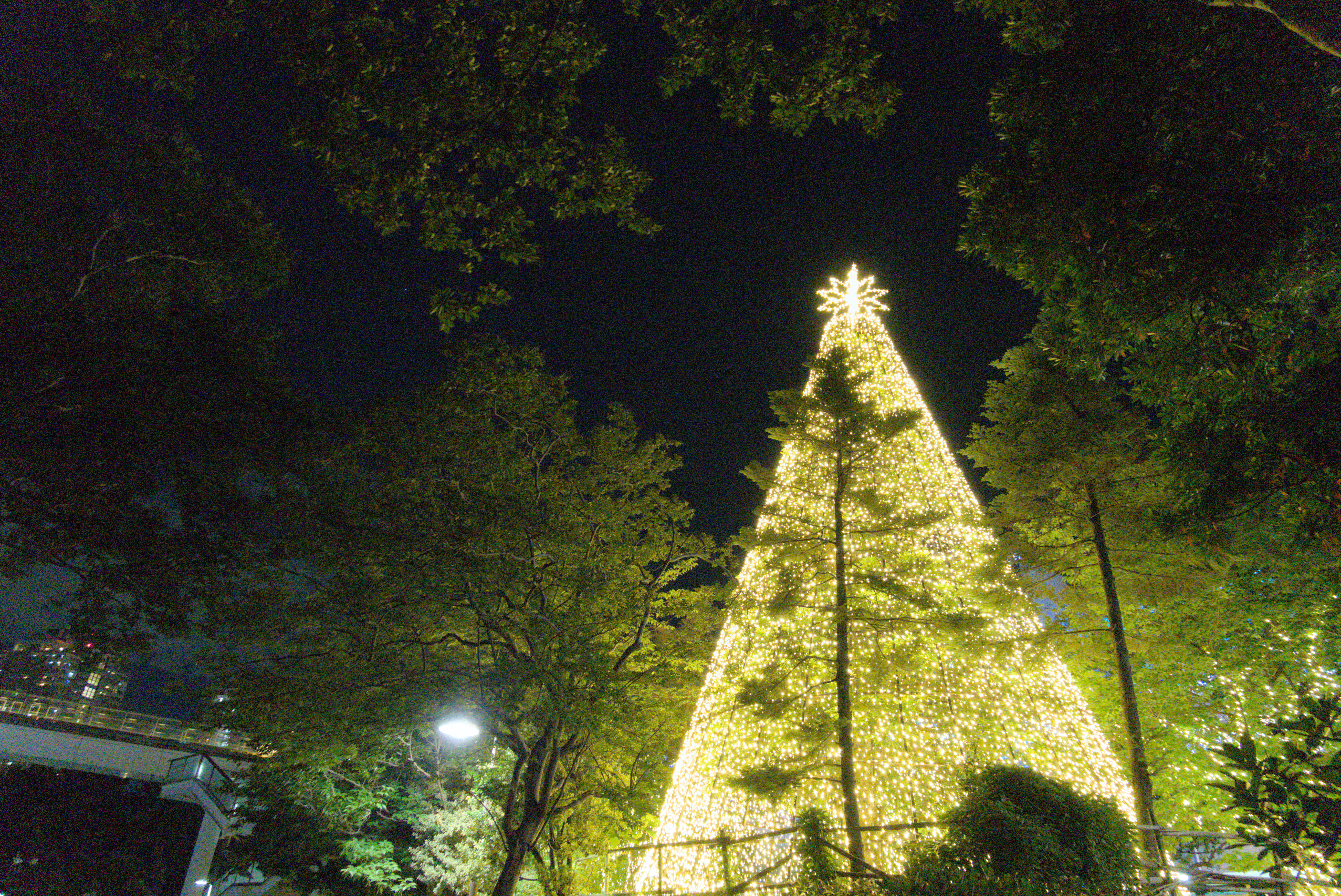 Christmas in Summer